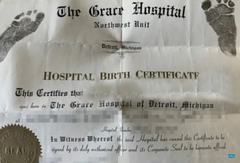 Download United States the Grace hospital of Michigan birth certificate Photoshop template